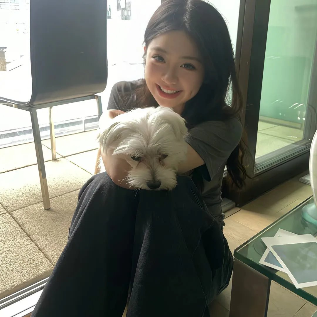 纳瓦尼事件簿 在线观看