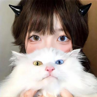 深网 在线观看